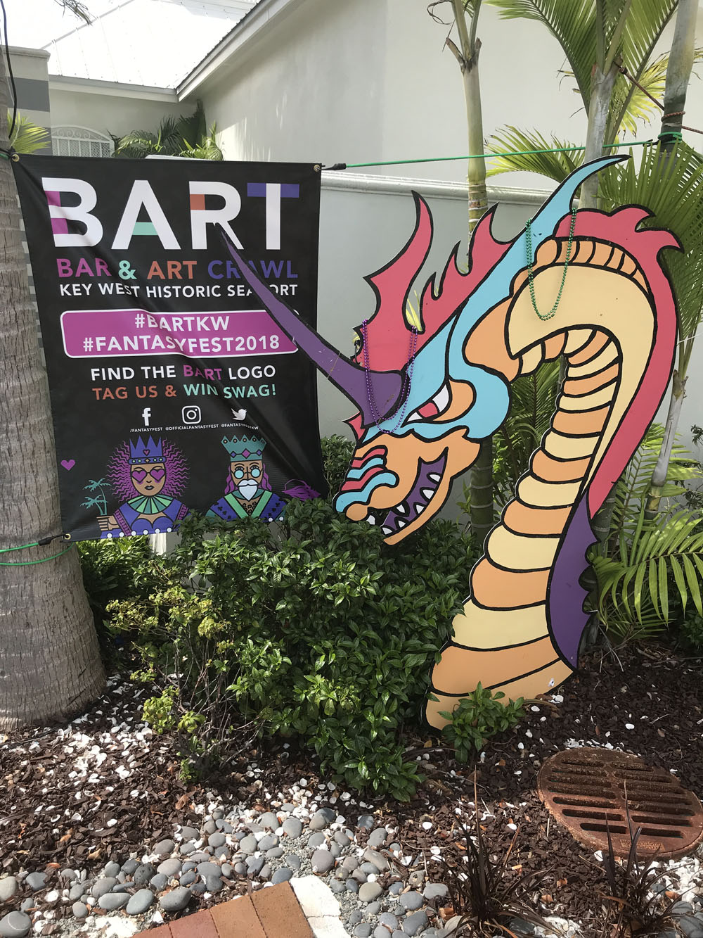 Street Pics 2018 photo - Duval Street, Key West